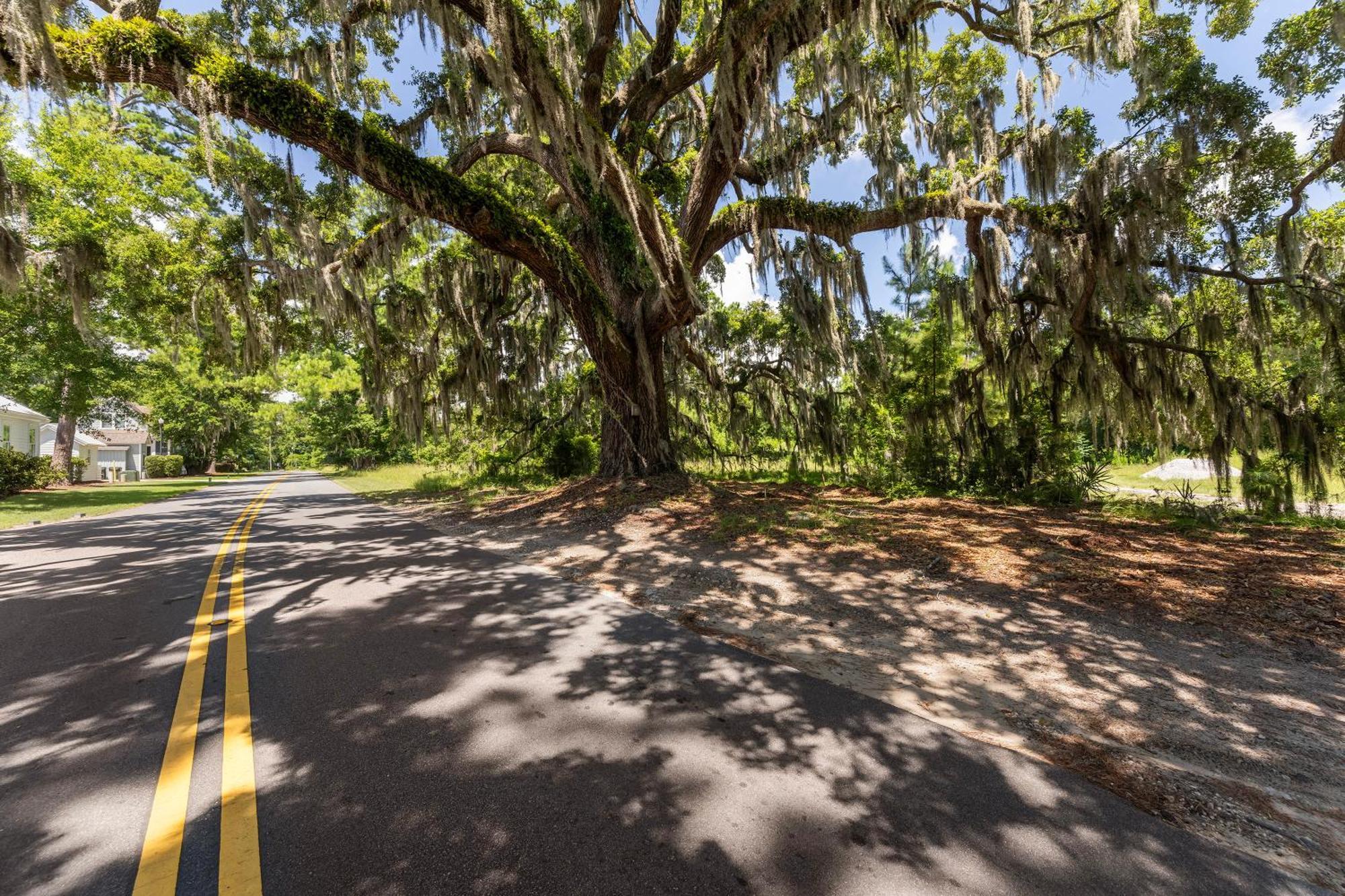 Low Country Cottage In Beautiful Habersham Beaufort Exterior foto